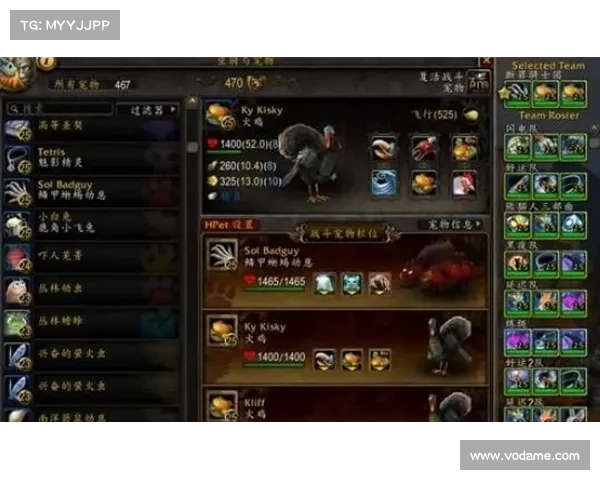 魔兽世界宠物专精切换:玩转属性装备 魔兽世界宠物专精切换:玩转属性装备